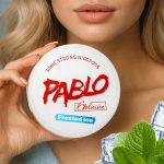 PABLO Frosted Ice – Mentollü Slim Nikotin Poşeti